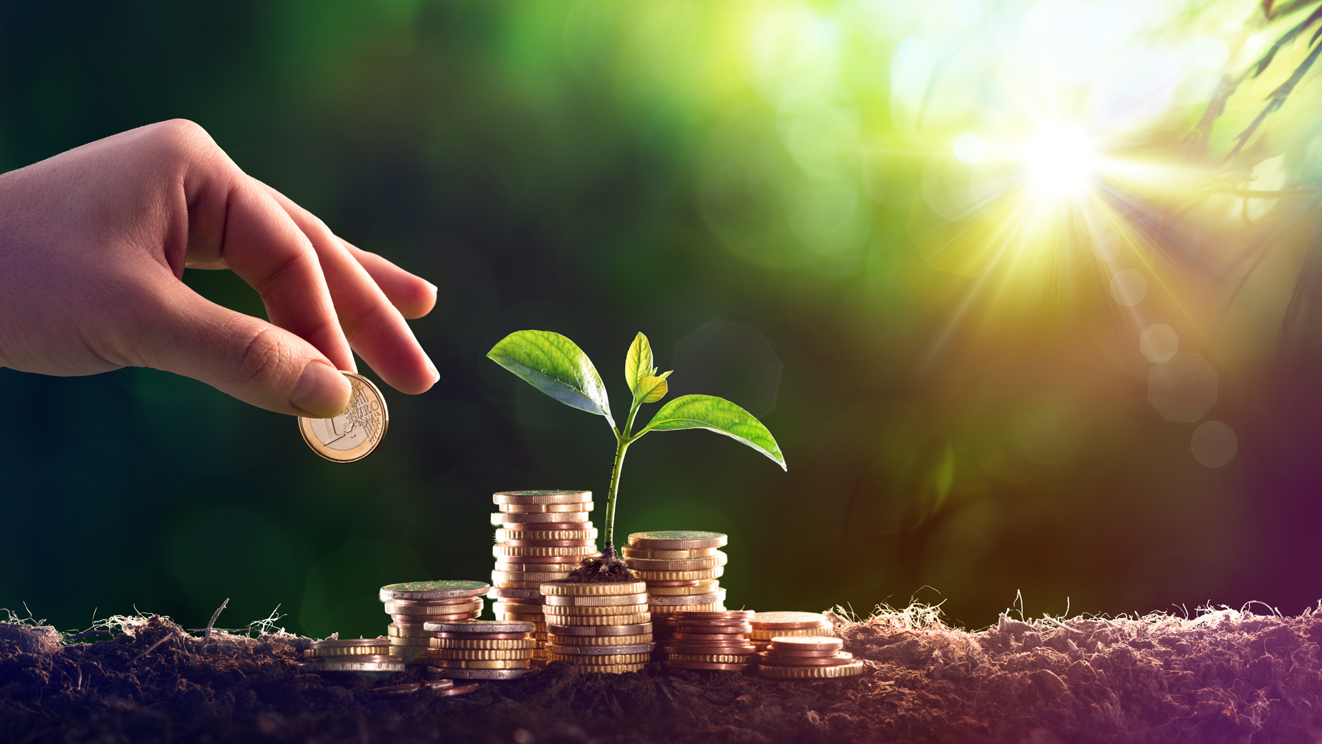 Sydinvest udbetaler 2,3 mia. kr. i udbytte