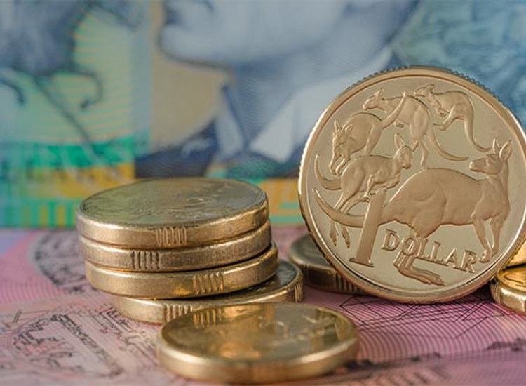 See your expected dividends for 2022